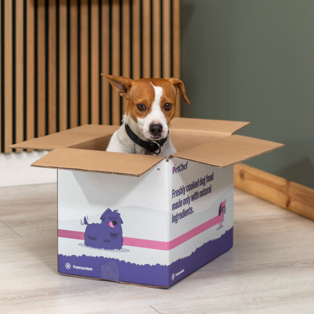 PetChef online reklámfilmek és social videók